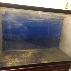 Fish Tank Or Aquarium