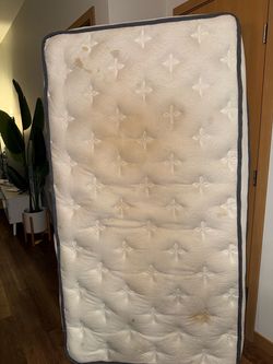 Twin/Single Mattress full size