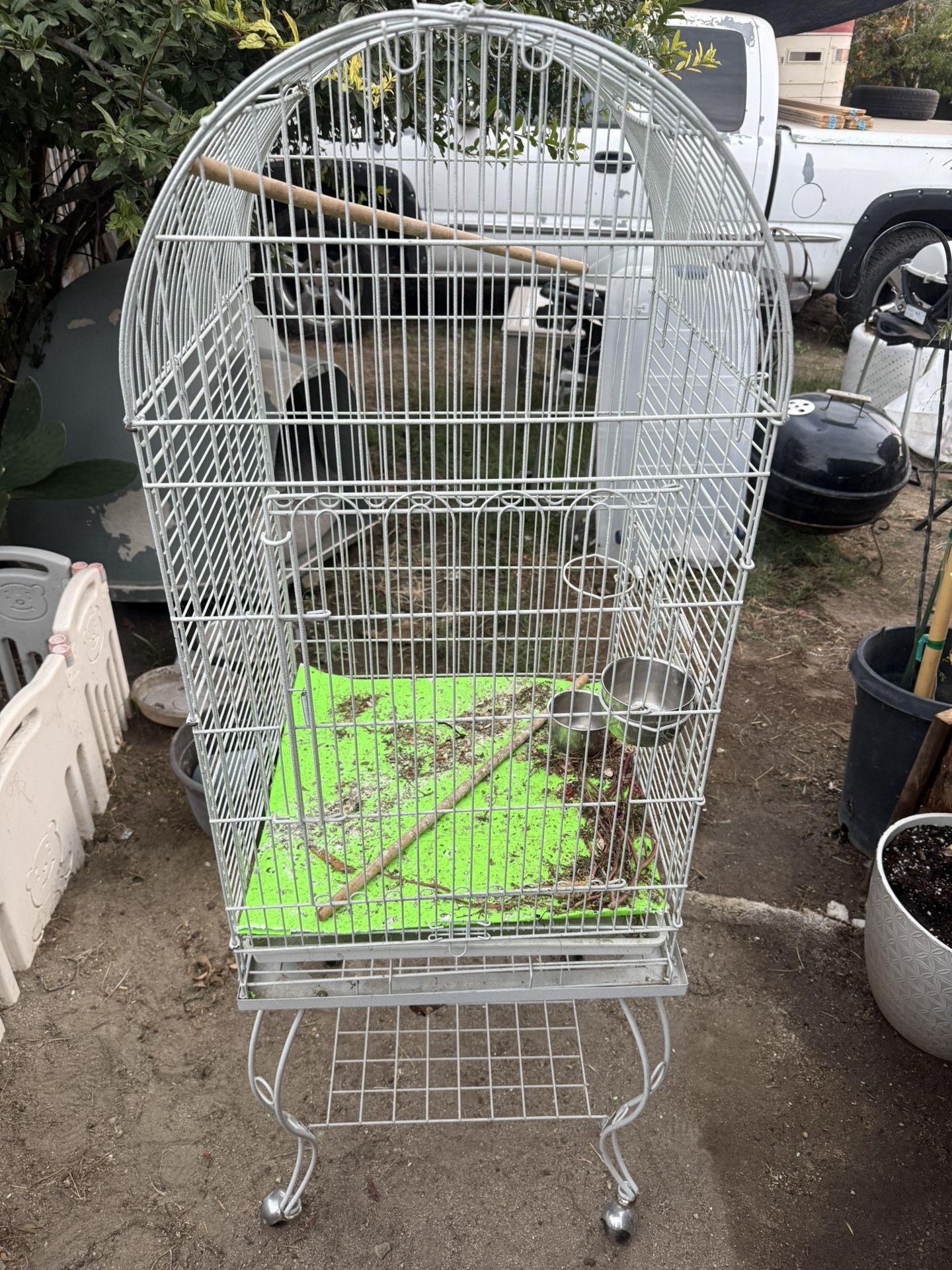 Bird Cage