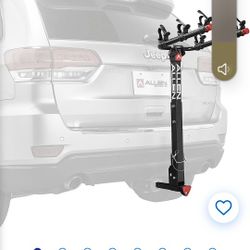 Allen Bike Rack 