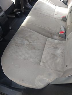 Shampoo Interior