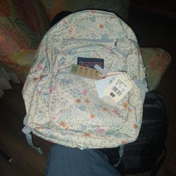 Jansport 17 Inch Back Pack 