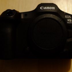 Canon R5 mark ii + Canon RF18-45 kit lens + Canon RF55-210 tele