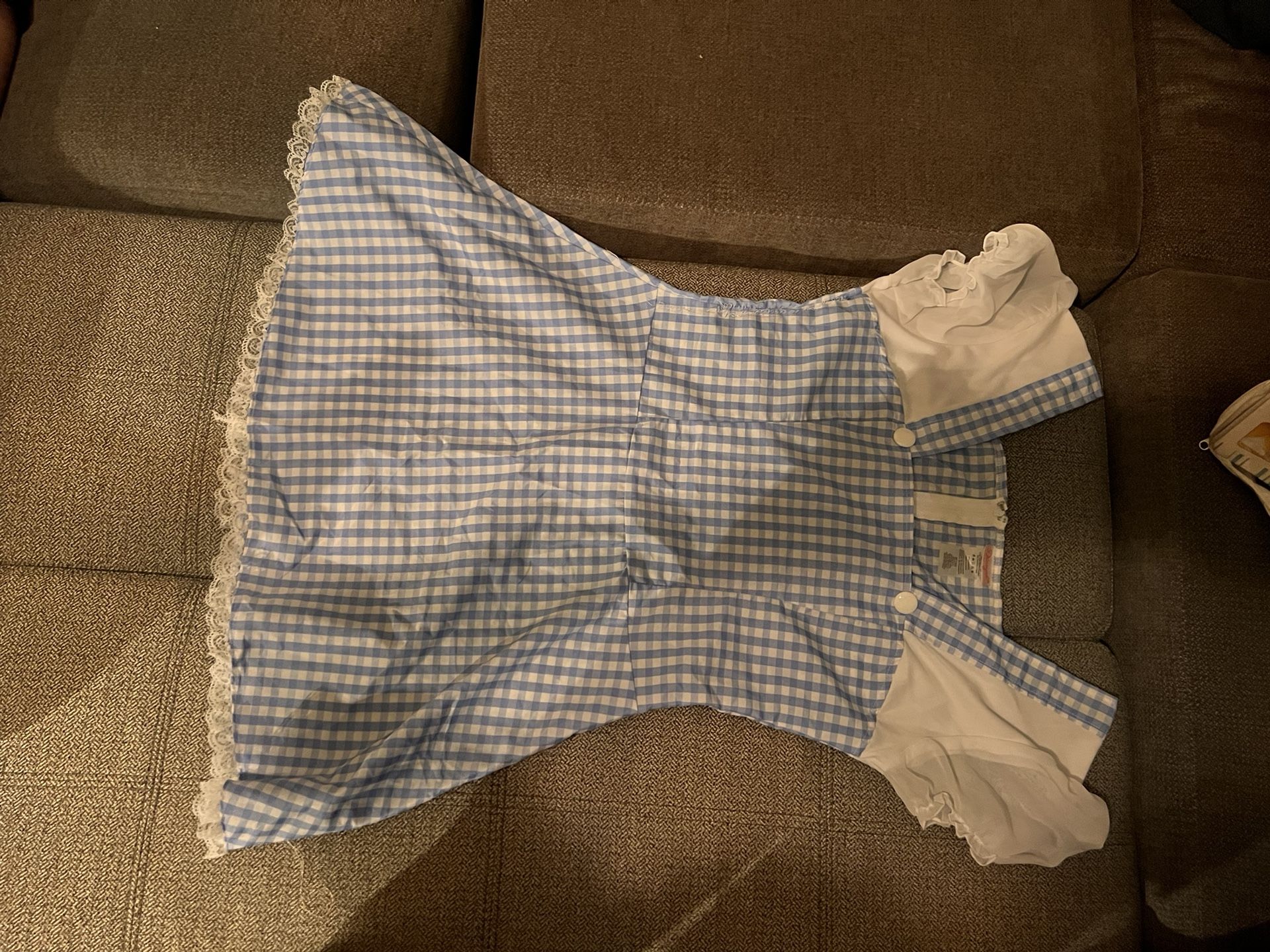 Halloween Dorothy Costume 
