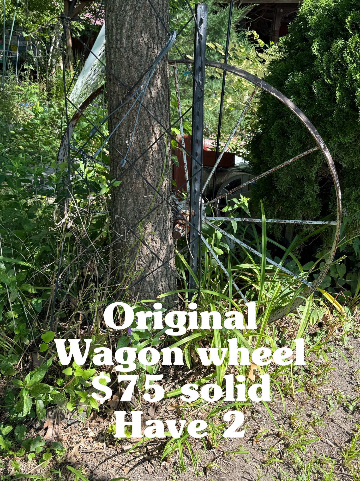 Orig Wagon Wheel
