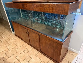 240 gal Aquarium