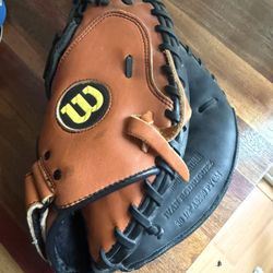 Catchers Mitt (baseball)