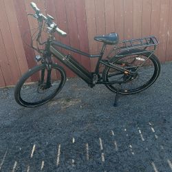 Rad City Plus E Bike