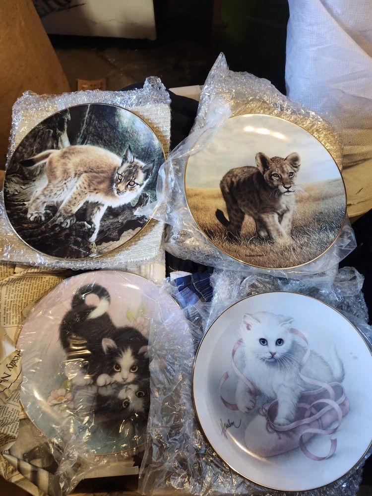 Cat Plates 