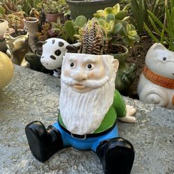 💚 Diligent Green Garden Gnome Planter W Succulent 🪴
