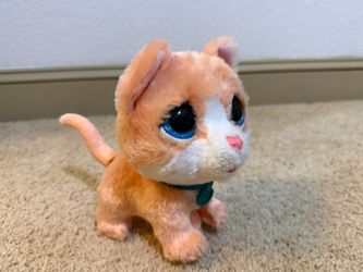 Rolling Cat with audio
