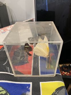 Vintage Shadow box