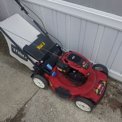 Lawnmower