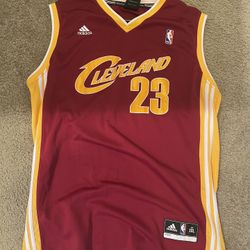LeBron James Cleveland Cavaliers Jersey 