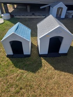 Dog house