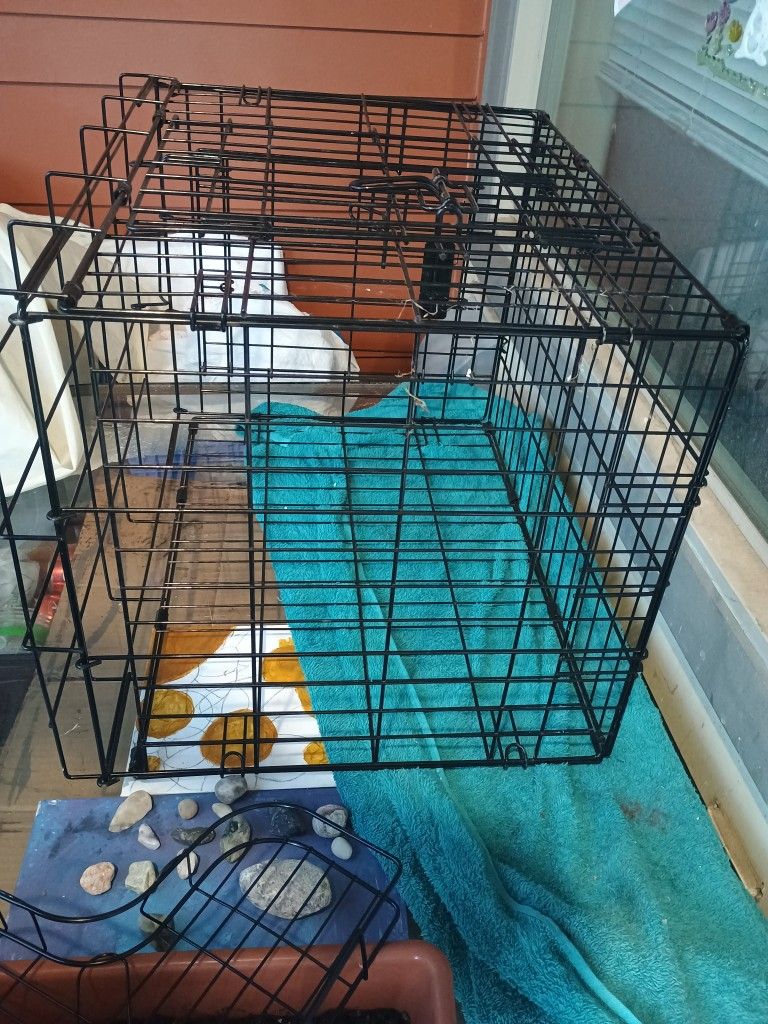 Collapsible Travel Kennel