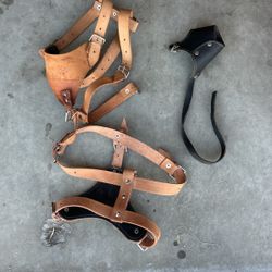 Hardness For Mes-size Dogs