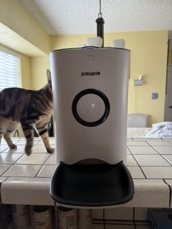 Pawple Electric Cat Feeder Dispenser