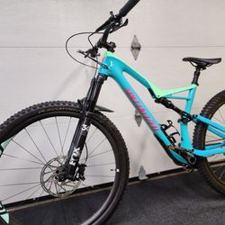 Specialized Stumpjumper Expert 29/6Fattie, Carbon Fiber - $2,800