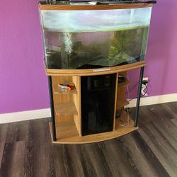 Fish Tank