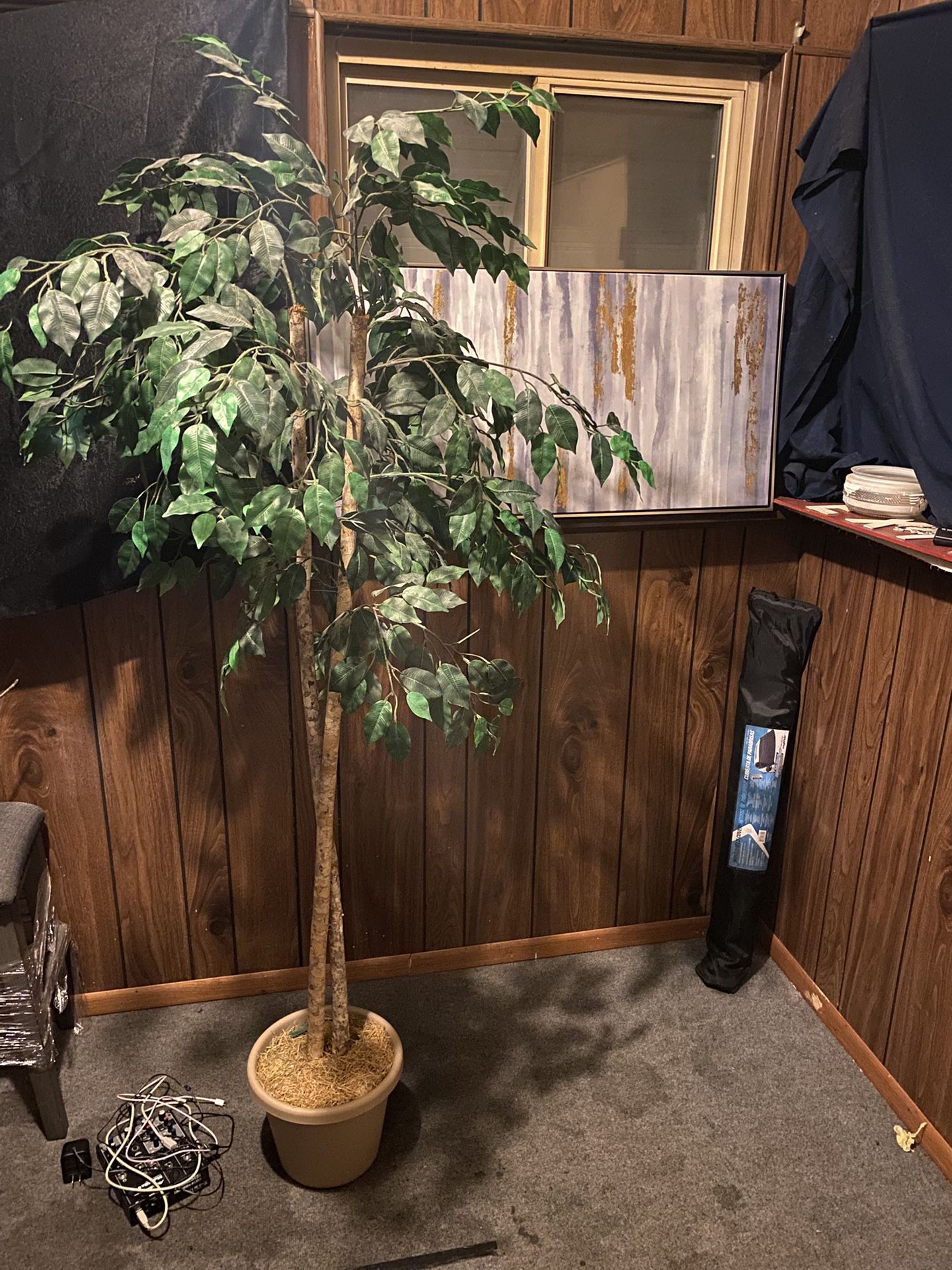 Fake Plant And Painting