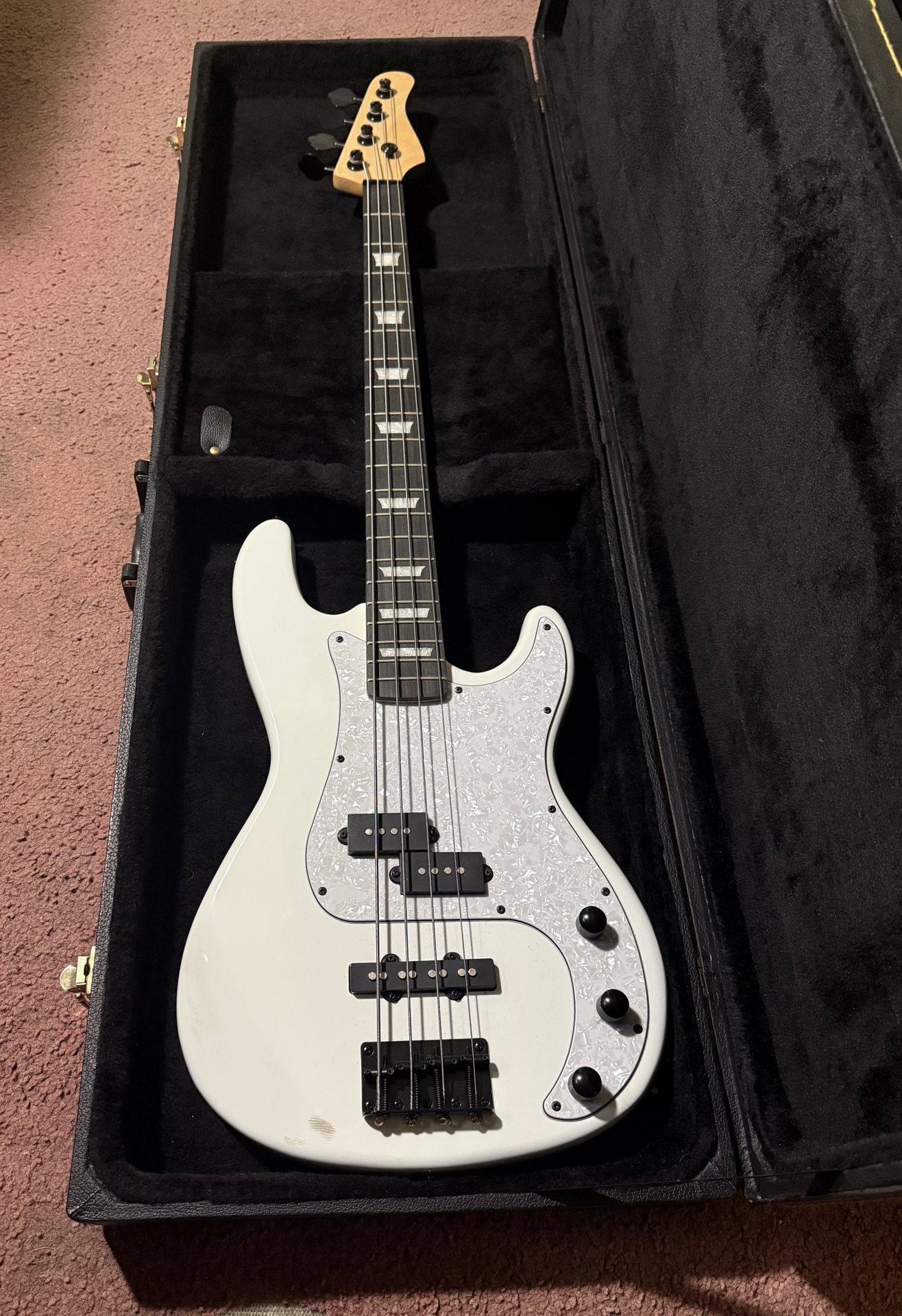 2 Bass Combo With Case & Amp $250 OBO