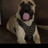 Omar
