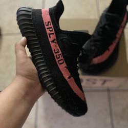Yeezy 350
