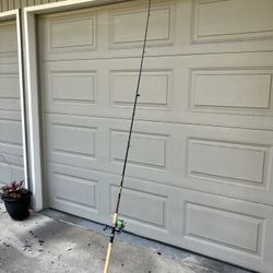 Fishing  Rod  and Reel