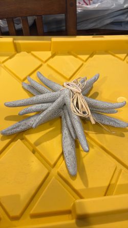 Set of 3 Starfish