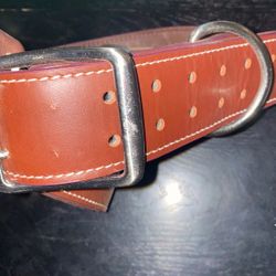 XL Leather Dog Collar And Leash
