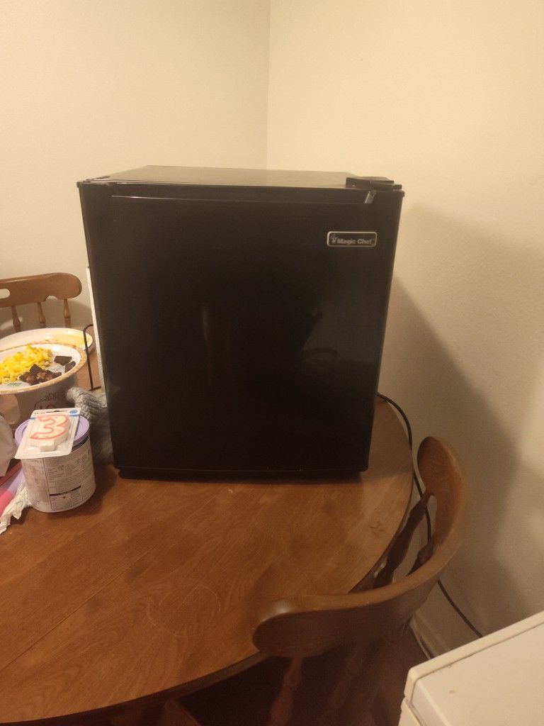 Mini Fridge