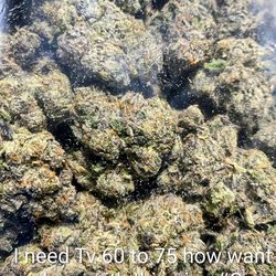 I need LD Tv 60 to 75 how want share with my green stuff