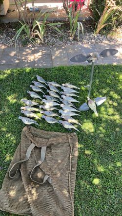 Dove decoys