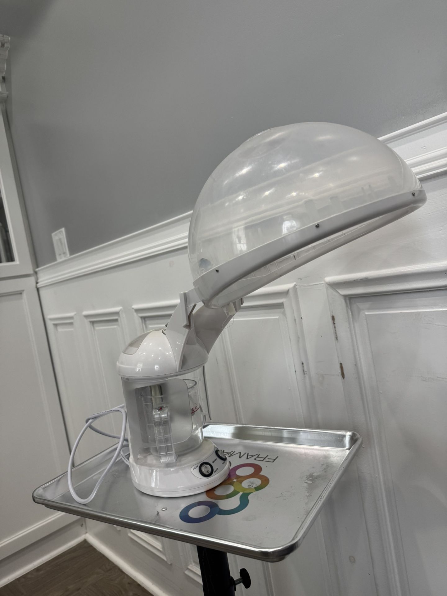 Hair & Facial Steamer 