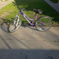 Purple 24-in Bike