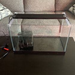 10 Gallon Aquarium