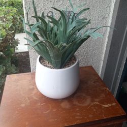 Fake Plant# 2