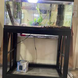 48 Gallons Fish Tank With Stand