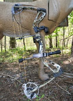 Diamond Edge SB-1 compound bow - make reasonable offer for