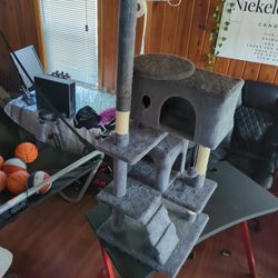 Cat Tower