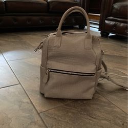 Backpack/purse 