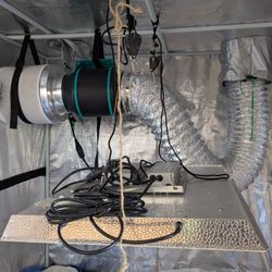 High Quality Grow Tent Setup(LED Light, Fan, Filter) 