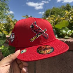 7 1/8 St. Louis Cardinals Fitted