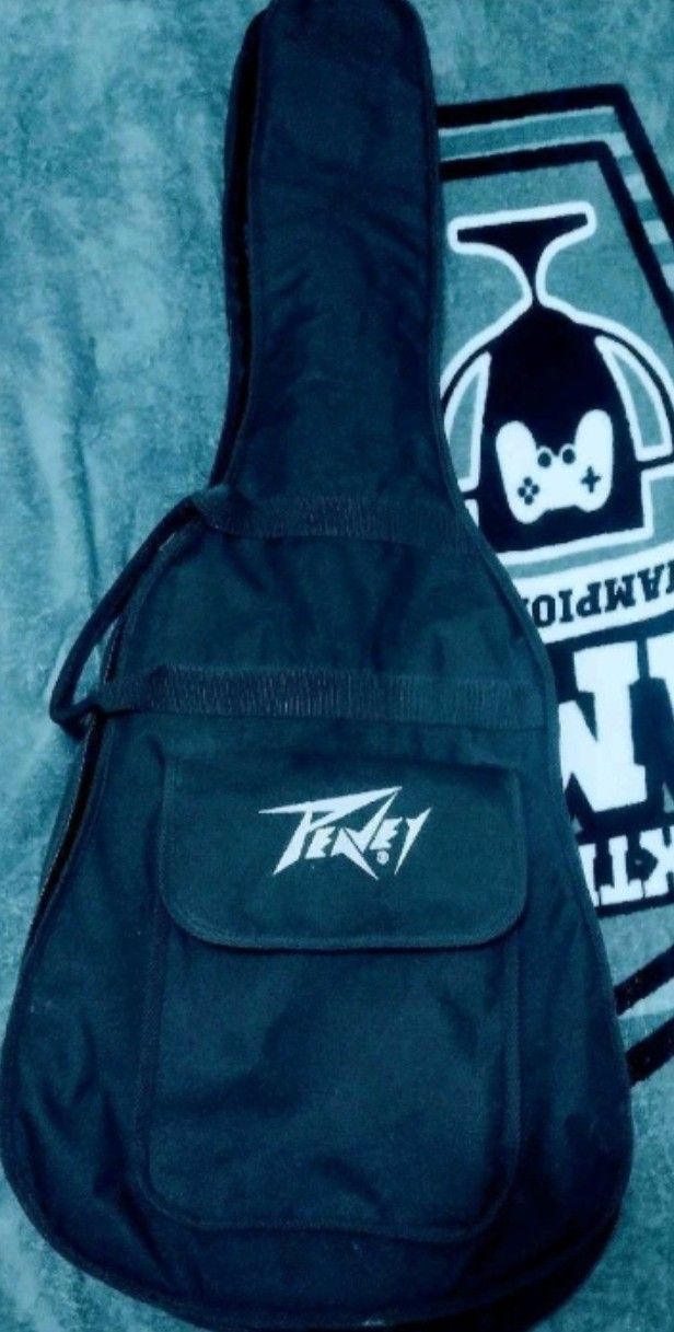 Acoustic Guitar & Peavey Guitar Storage Case Bag.