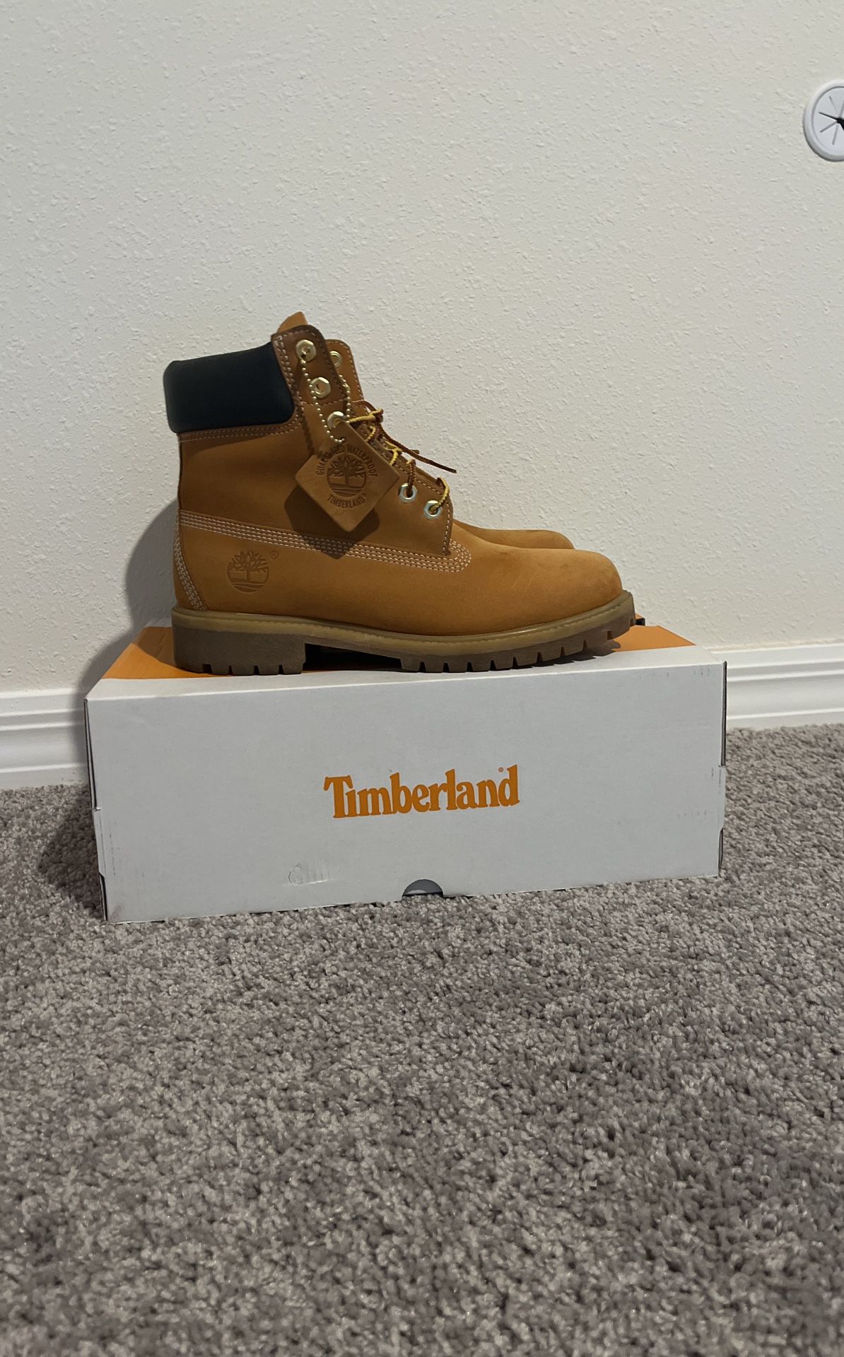 6 Inch Timberland Premium Waterproof Wheat Boot 7 1/2 Men’s