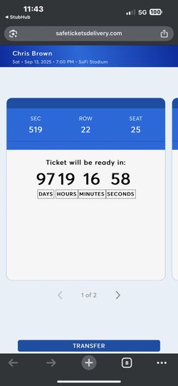 Chris Brown Tickets (Sofi Stadium)