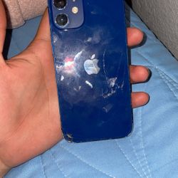 iPhone 12 Mini 