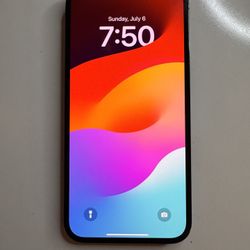 12 Pro Max 