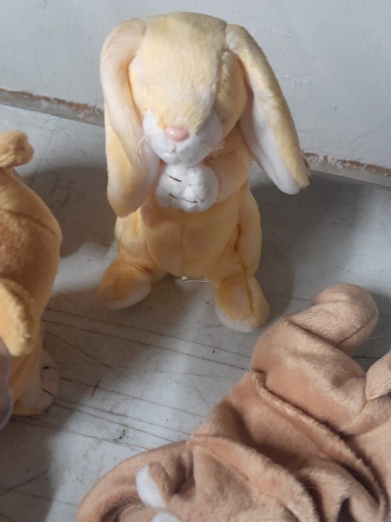 Beanie Baby. 400 Of Them Great Contesion